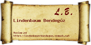Lindenbaum Bendegúz névjegykártya